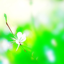 dailyPhoto21